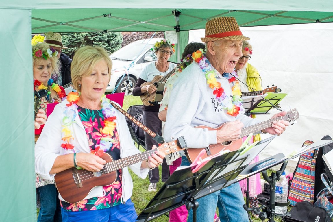 Photograph 147 taken at the Hankelow Summer Fete 2015
